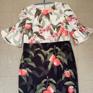 Ted Baker Dress